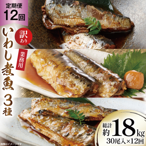 12回 定期便 訳あり 業務用 いわし煮魚 3種 ×10尾 計30尾入 約1.5kg ×12回 総重量 約18kg 
