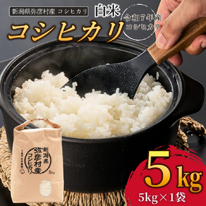 コシヒカリ 精米 5kg 弥彦村 石井農園 白米 | コシヒカリ 新潟県 令和7年産