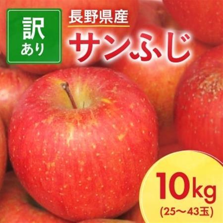 [先行受付]長野県産 サンふじ りんご 家庭用 訳あり 10kg(25〜43玉)