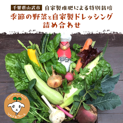【自家製堆肥による特別栽培】季節の野菜と自家製ドレッシング詰め合わせ ／ 野菜 やさい ドレッシング 自家製  千葉県 山武市 SMBP002