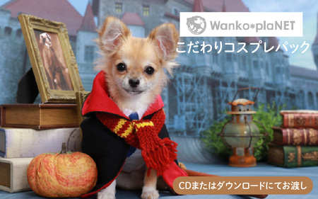 [ペット撮影]わんこ*ぷらネットこだわりコスプレパック