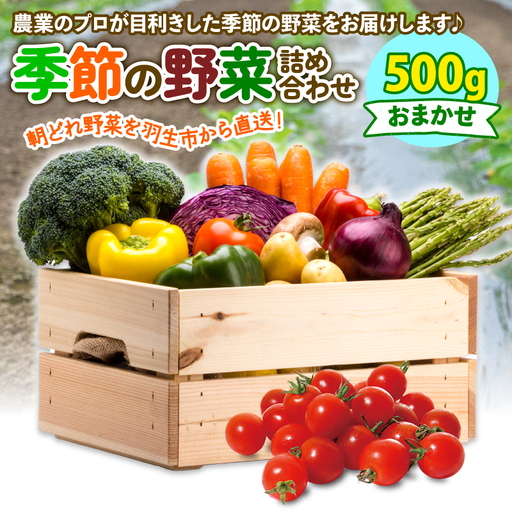 野菜 詰め合わせ 500g 野菜