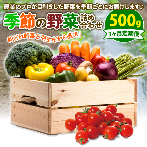 定期便 季節 野菜 詰め合わせ 500g 3ヶ月 連続お届け 果物 産地直送 朝どれ 詰め合わせ とれたて 濃厚 ごほうびとまと 風の子ファーム ﾌﾙｰﾂﾄﾏﾄ ほうれんそう 白菜 ｷｬﾍﾞﾂ ﾌﾞﾛｯｺﾘｰ そら豆 ﾔﾝｸﾞｺｰﾝ とうもろこし ﾔﾝｸﾞｺｰﾝ 唐辛子 ﾊﾟﾌﾟﾘｶ 水 ﾅｽ ｵｸﾗ ｷｭｳﾘ ｶﾘﾌﾛｰﾚ 埼玉県 羽生市