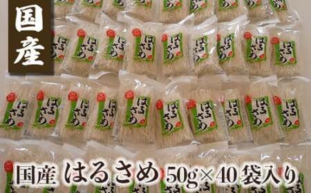 はるさめ 国産はるさめ 50g×40袋入り はるさめ 春雨 小分け [knms0001]