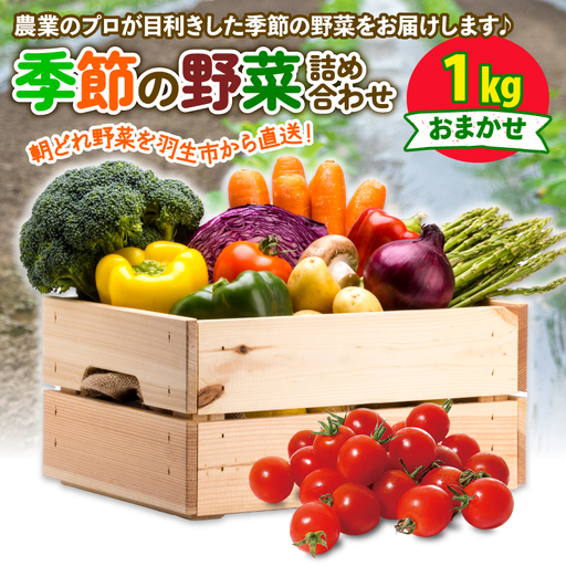 季節 野菜 詰め合わせ 1kg 果物 産地直送 朝どれ 詰め合わせ とれたて 濃厚 ごほうびとまと 風の子ファーム ﾌﾙｰﾂﾄﾏﾄ ほうれんそう 白菜 ｷｬﾍﾞﾂ ﾌﾞﾛｯｺﾘｰ そら豆 ﾔﾝｸﾞｺｰﾝ とうもろこし ﾔﾝｸﾞｺｰﾝ 唐辛子 ﾊﾟﾌﾟﾘｶ 水 ﾅｽ ｵｸﾗ ｷｭｳﾘ ｶﾘﾌﾛｰﾚ 埼玉県 羽生市