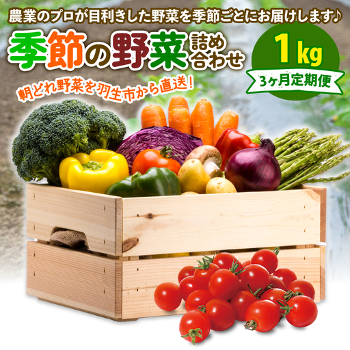定期便 季節 野菜 詰め合わせ 1kg 3ヶ月 連続お届け 果物 産地直送 朝どれ 詰め合わせ とれたて 濃厚 ごほうびとまと 風の子ファーム ﾌﾙｰﾂﾄﾏﾄ ほうれんそう 白菜 ｷｬﾍﾞﾂ ﾌﾞﾛｯｺﾘｰ そら豆 ﾔﾝｸﾞｺｰﾝ とうもろこし ﾔﾝｸﾞｺｰﾝ 唐辛子 ﾊﾟﾌﾟﾘｶ 水 ﾅｽ ｵｸﾗ ｷｭｳﾘ ｶﾘﾌﾛｰﾚ 埼玉県 羽生市