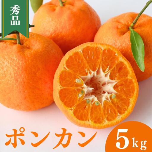 【先行予約】ポンカン【秀品】5kg ※2027年1月中旬～2月下旬頃に順次発送予定【期間限定・数量限定】 / ぽんかん 柑橘 季節限定 お取り寄せ 産地直送 贈答品 ギフト 果物 フルーツ 田辺市 和歌山県【ymh001】