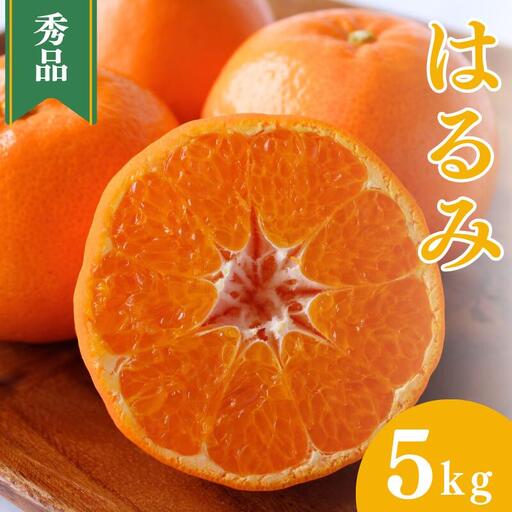 【先行予約】はるみ【秀品】5kg ※2027年2月上旬～3月上旬頃に順次発送予定【期間限定・数量限定】 / 柑橘 季節限定 お取り寄せ 産地直送 贈答品 ギフト 果物 フルーツ 田辺市 和歌山県【ymh002-1】
