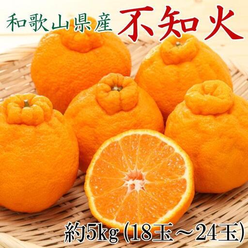 和歌山県産不知火約5kg（18玉～24玉おまかせ）L～3Lサイズ★2027年2月下旬頃より順次発送［TM159］