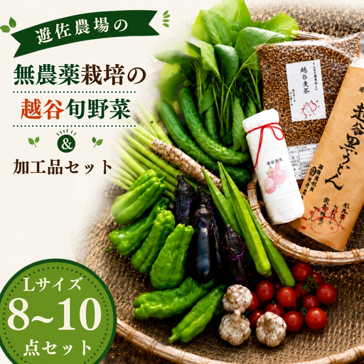 無農薬栽培の旬野菜＆加工品セット L | 野菜 やさい 旬 新鮮 採れたて 産地直送 直送 お取り寄せ 安全 安心 地元 オーガニック野菜 季節野菜 旬野菜 詰合せ 循環農業 埼玉県 越谷市