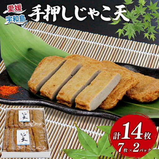 練り物 手押しじゃこ天 14枚 大山かまぼこ店 練り物