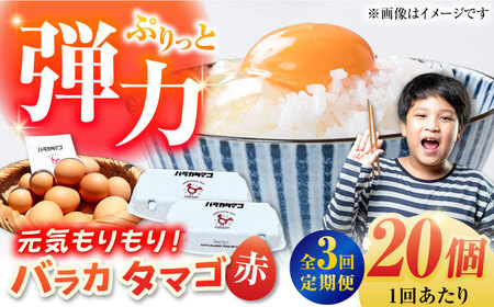 [3回定期便][ギフトBOX]バラカタマゴ 20個入 M-Lサイズ 卵 玉子 国産 五島市 / 五島列島大石養鶏場[PFQ054] 玉子 タマゴ 鶏卵 希少 五島列島