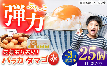 [3回定期便][箱入り]バラカタマゴ 25個入 M-Lサイズ 卵 玉子 たまご 国産 五島市 / 五島列島大石養鶏場[PFQ057] 玉子 タマゴ 鶏卵 希少 五島列島