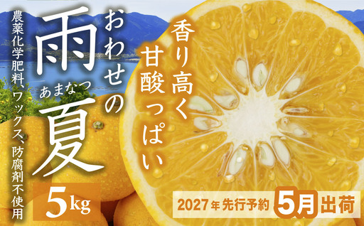 【先行予約 ５月出荷】 おわせの雨夏（あまなつ） 5kg 無農薬 ワックス・防腐剤不使用 木成り 完熟 甘夏 ギフト 贈答 日用 でも使える 三重 尾鷲 の 柑橘 特産品 TK-f-14