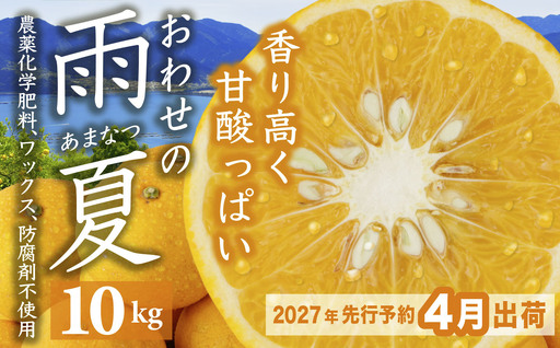 【先行予約 ４月出荷】 おわせの雨夏（あまなつ） 10kg 無農薬 ワックス・防腐剤不使用 木成り 完熟 甘夏 ギフト 贈答 日用 でも使える 三重 尾鷲 の 柑橘 特産品 TK-f-16