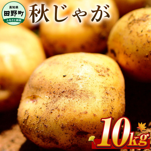  令和8年産 秋じゃがいも 10kg　★令和8年11月下旬発送開始★