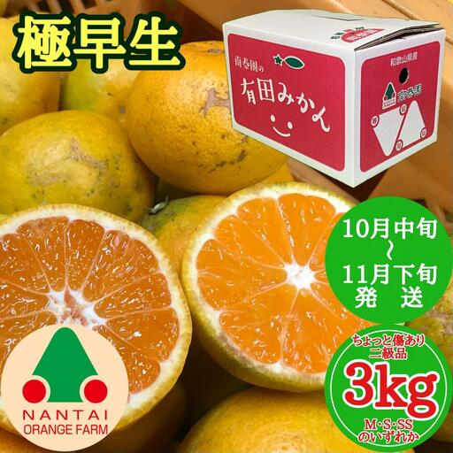 ちょっと 傷あり 極早生 有田 みかん M 〜 SS サイズ 3kg 南泰園 和歌山 有田みかん