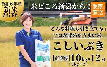米 新米【令和6年産 新米先行予約】【12ヶ月定期便】新潟産こしいぶき 10kg(5kg×2)×12回お届け(計120kg) プロが認めたうまい米 コシヒカリ 令和6年産 新潟産コシイブキ 新潟県糸魚川産 農家直送 2024年 毎月お届け 【定期便 コシイブキ こしいぶき 精米 白米 米 お米 こめ コメ おすすめ ギフト 10キロ 先行予約 精米 白米 12ヶ月 12か月 12回】