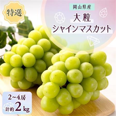 1065.【先行受付】特選大粒シャインマスカット2～4房(9月下旬～12月下旬頃発送予定)【1516936】
