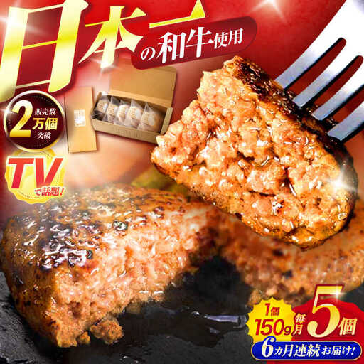 【6回定期便】ながさきふわとろハンバーグ 150g×5個入 / ハンバーグ はんばーぐ 肉 牛肉 豚肉 おかず 惣菜 定期便 / 諫早市 / ワールド・ミート有限会社 [AHBG007]