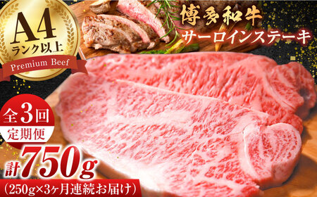 [3回定期便]サーロインステーキ250g×1枚 [AFBO002]
