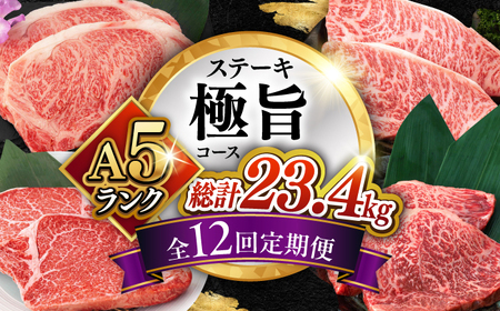【12回定期便】長崎和牛 A5 ステーキ極旨コース 総計23.4kg / モモ リブロース イチボ サーロイン ランプ ヒレ レモンステーキ / 肉 牛肉 ステーキ 焼肉 / 諫早市 / 野中精肉店 [AHCW087]
