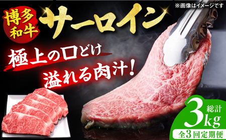 【3回定期便】サーロイン ステーキ 200g×5枚 / ステーキ お肉 牛肉 サーロイン [AFBV019]