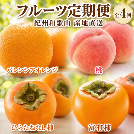 【7・8・10・11月 全4回】紀州和歌山産旬のフルーツセット（バレンシア・桃・ひらたねなし柿・富有柿）【UT81】