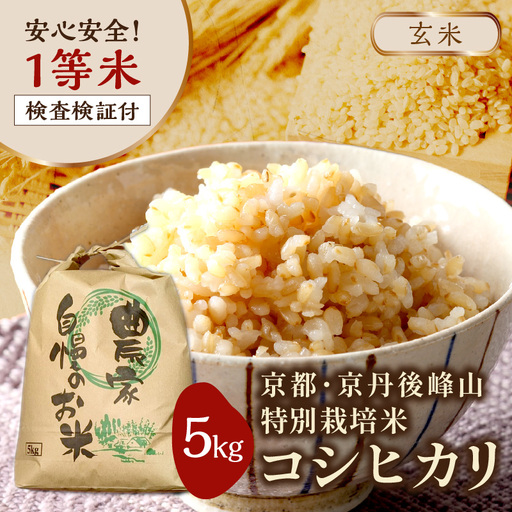 2026年産 京都・京丹後峰山 特別栽培米コシヒカリ 5kg 【玄米】 1等米 検査済証付 米 ふるさと納税 コシヒカリ ふるさと納税 白米 ふるさと納税 お米 ご飯 ごはん おいしい コメ コシヒカリ