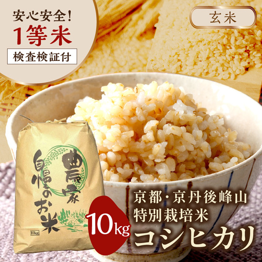 2026年産 京都・京丹後峰山 特別栽培米コシヒカリ 10kg 【玄米】 1等米 検査済証付 米 ふるさと納税 コシヒカリ ふるさと納税 白米 ふるさと納税 お米 ご飯 ごはん おいしい コメ コシヒカリ