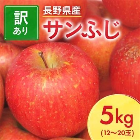 先行受付】長野県産 サンふじ りんご 家庭用 訳あり 5kg(12～20玉