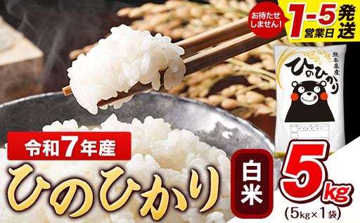白米 令和7年産 ひのひかり 5kg 米