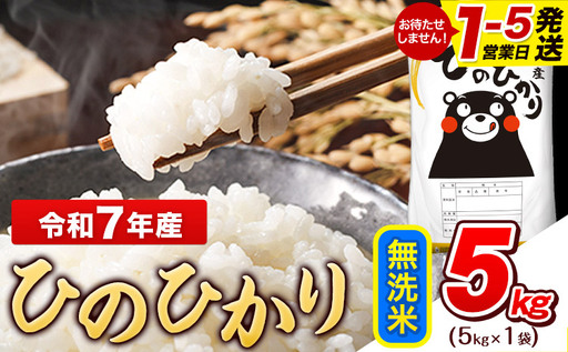 無洗米 令和7年産 ひのひかり 5kg 米