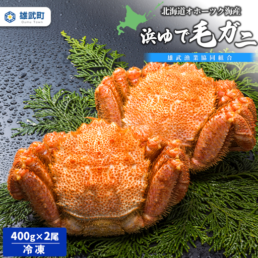 北海道オホーツク海産 浜ゆで毛ガニ400ｇ×2尾（冷凍）【0713101】