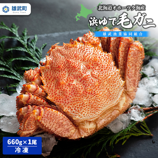 北海道オホーツク海産　浜ゆで毛ガニ660ｇ×1尾（冷凍）【07130】