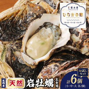 天然岩牡蠣お試しセット(大・中・小サイズ)各2個 N036-YA0382