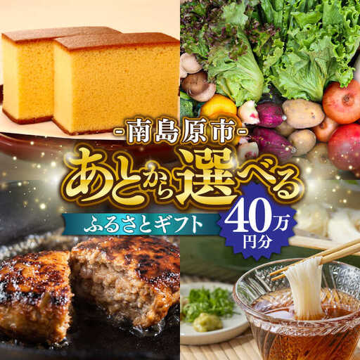 [あとから選べる]南島原市 ふるさとギフト 40万円分 / 寄付 あとから寄附 ギフト セレクト チョイス 選べる 長崎県 駆け込み寄附 後 後 セレクト 先に寄付 40万円 400000円 