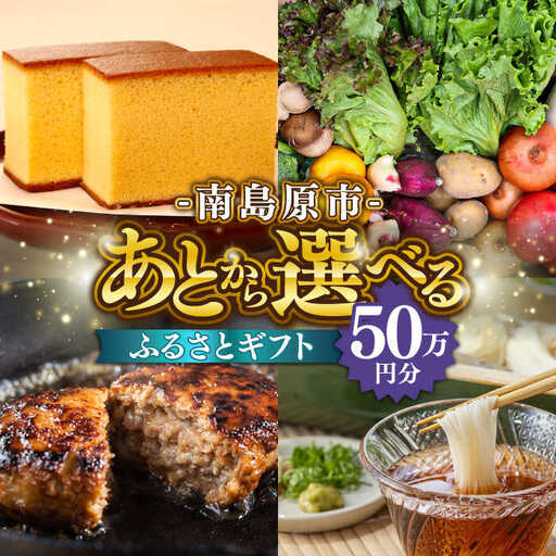 [あとから選べる]南島原市 ふるさとギフト 50万円分 / 寄付 あとから寄附 ギフト セレクト チョイス 選べる 長崎県 駆け込み寄附 後 後 セレクト 先に寄付 50万円 500000円 