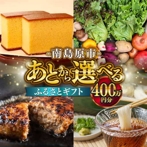 【あとから選べる】南島原市 ふるさとギフト 400万円分 / 寄付 あとから寄附 あとからギフト あとからセレクト あとからチョイス あとから選べる 長崎県 駆け込み寄附 後から選べる 後から選べるギフト 後からセレクト 先に寄付 400万円 4000000円 [SZX015]