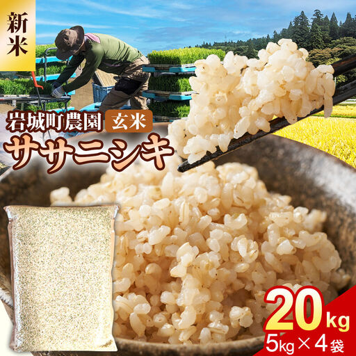 《令和8年産 新米》【玄米】ササニシキ 20kg(5kg×4袋) 秋田県 由利本荘市産 真空パック 岩城町農園