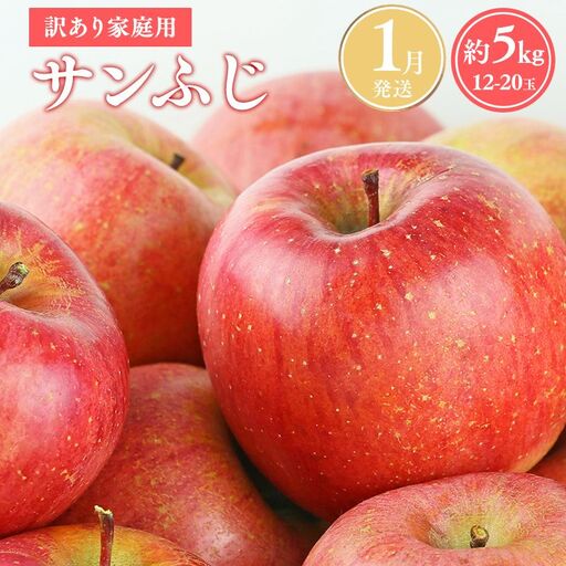 りんご 家庭用 サンふじ約5kg りんご