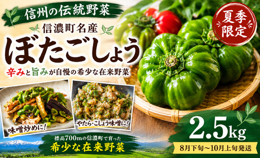≪夏季限定 信州伝統野菜≫ぼたごしょう 2.5kg 信濃町名産☆8月下旬～10月上旬出荷予定【長野県 信州 信濃町／道の駅しなの】