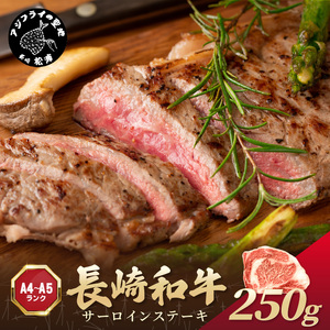 長崎和牛サーロインステーキ 250g(250g×1枚)( 肉 牛肉 牛 長崎和牛 国産牛 サーロイン ステーキ ステーキ肉 お取り寄せ プレゼント ギフト 送料無料 人気 美味しい 返礼品 おすすめ )【181-0008】