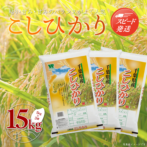 新米 令和8年産 千葉県産「コシヒカリ」15kg（5kg×3袋）お米 15kg 千葉県産 大網白里市 コシヒカリ 米 精米 こめ 送料無料 A049