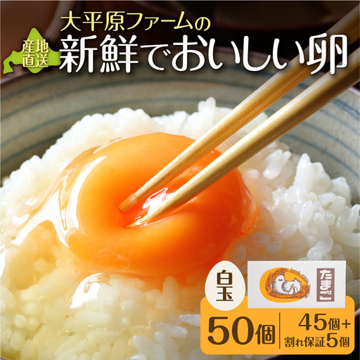 おいしい卵  計50個 (白卵) 北海道 清水 こだわりたまご 新鮮タマゴ_S035-0002