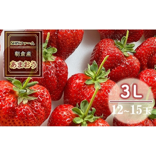 いちご 朝倉市産 あまおう 3L 12～15玉 イチゴ 苺 果物 デザート ＜SHINファーム＞ ※配送不可：離島 