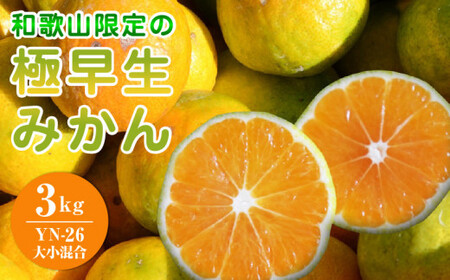 【2026年先行予約】和歌山県限定の極早生みかん 3kg (YN-26 大小混合)_EA6104