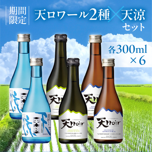 【期間限定】天ロワール（山田錦、ひだほまれ）天涼（各300ml ×2） 6本セット【2-44】