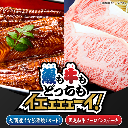 2472 【 鰻 も 牛 もどっちもイエェェェーイ！ 5 】 鹿児島県 大隅産 「 カット 」 うなぎ蒲焼 80g×1枚 うしの中山 サーロインステーキ 200g KN050-017 肉 牛肉 魚 冷凍
