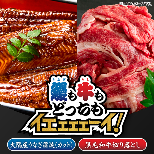 2474 【 鰻 も 牛 もどっちもイエェェェーイ！7】鹿児島県大隅産「カット」 うなぎ蒲焼 80g×2枚 最高級A5・ 黒毛和牛 切り落とし300g KN050-014 肉 牛肉 魚 冷凍